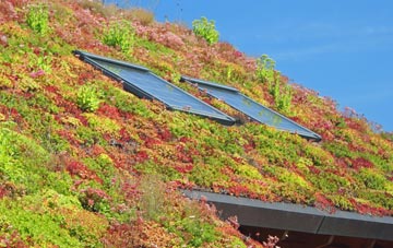 Curlew Green living roof systems