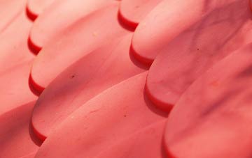 Curlew Green plastic roof costs