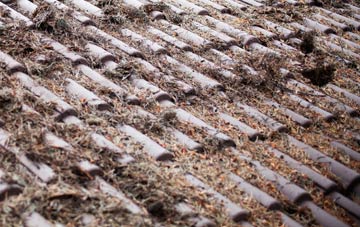 Curlew Green roof cleaning companies