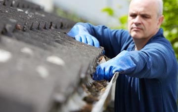 cleaning and inspecting Curlew Green roofs