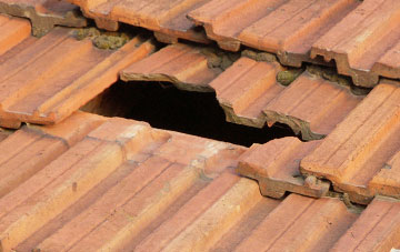 roof repair Curlew Green, Suffolk